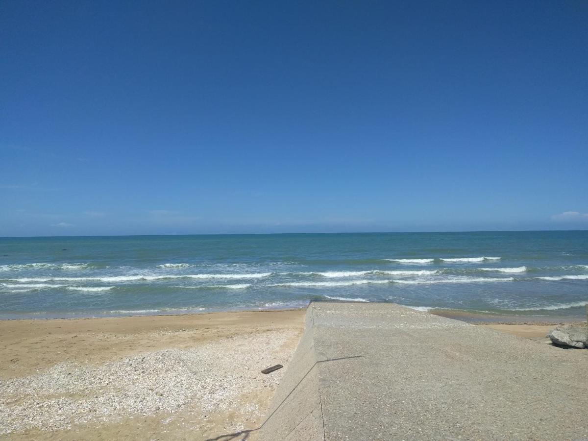 "Le Cocon D'Estelle" Grand Studio Vue Mer, 30M De La Plage Villers-sur-Mer Exteriör bild